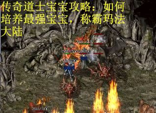 传奇道士宝宝攻略：如何培养最强宝宝，称霸玛法大陆