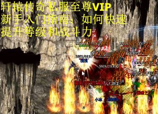 轩辕传奇私服至尊VIP新手入门指南：如何快速提升等级和战斗力