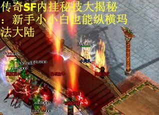 传奇SF内挂秘技大揭秘：新手小小白也能纵横玛法大陆